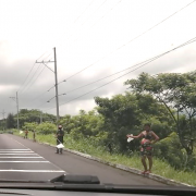 large_weiße Fahnen.png